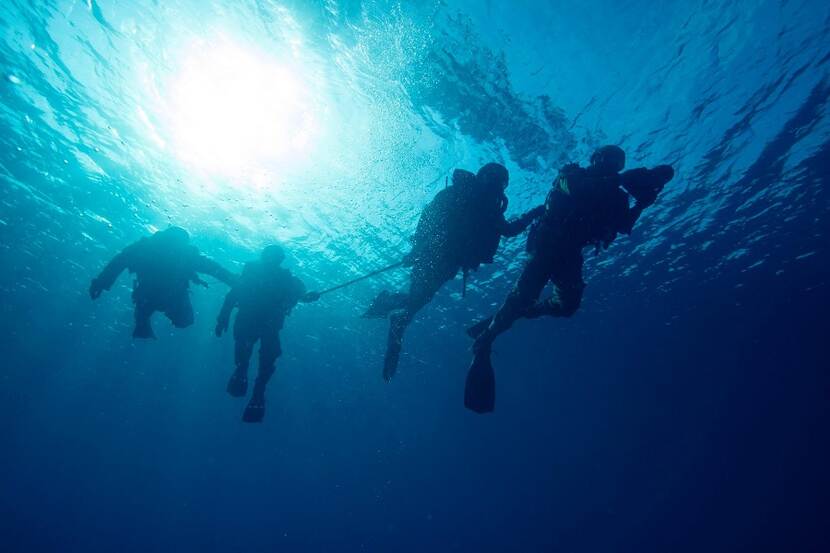 Vier duikers in een blauwe zee