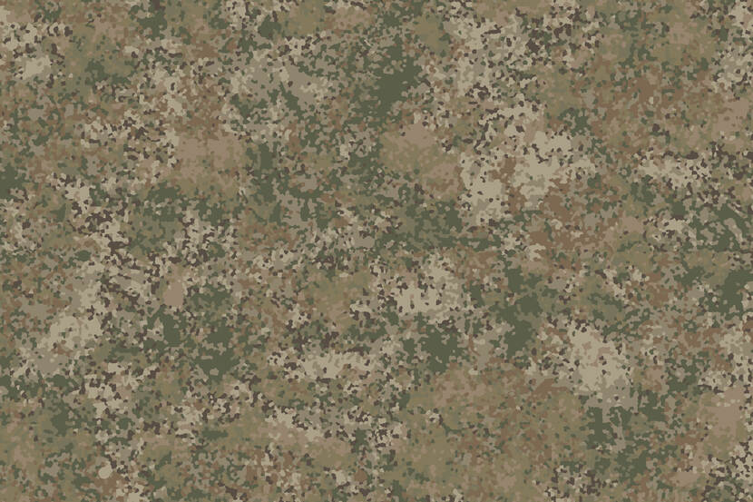 Camouflagepatroon NFP-Tan.